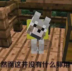 有哪些Minecraft的表情包呢? - 知乎
