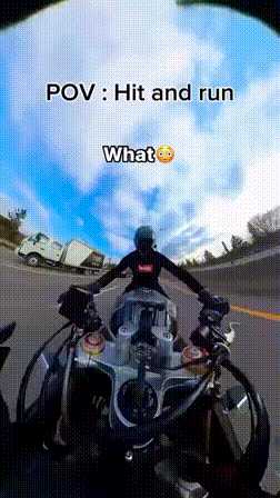 动图封面