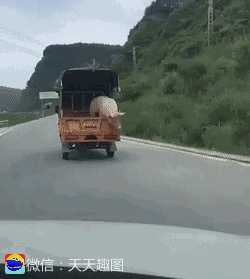 动图封面