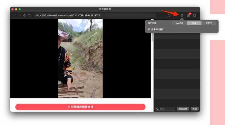 大家是如何下载在线视频网站的视频的？