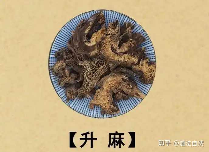升麻为啥叫鬼脸升麻?有那些功效呢? - 知乎