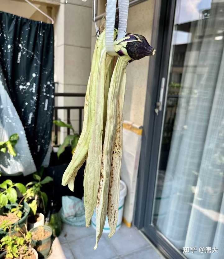 《红楼梦》中的“茄鲞”是一道杜撰的菜吗? - 知乎