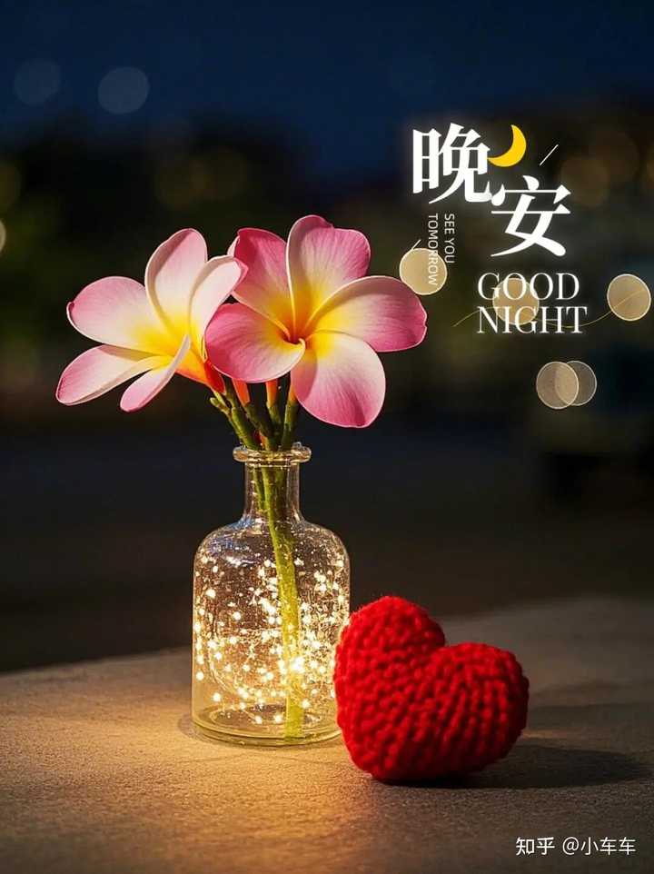晚安怎样发100%暖心? - 知乎