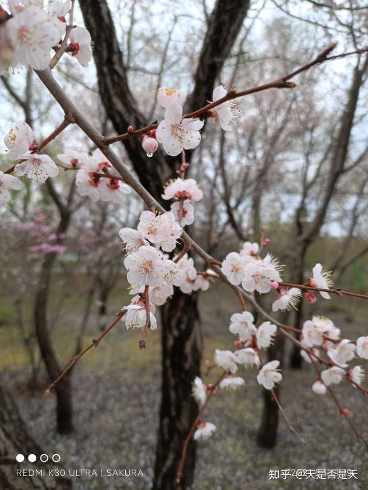 哈尔滨石油学院_哈尔滨石油学院是几本_哈尔滨石油学院录取分数线