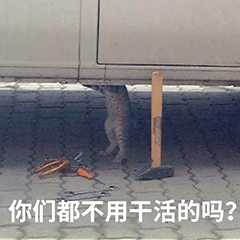 垃圾分类飞机杯怎么办在垃圾分类的大环境下如何扔飞机杯？|蜜壶屋