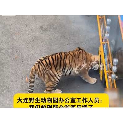 动图封面