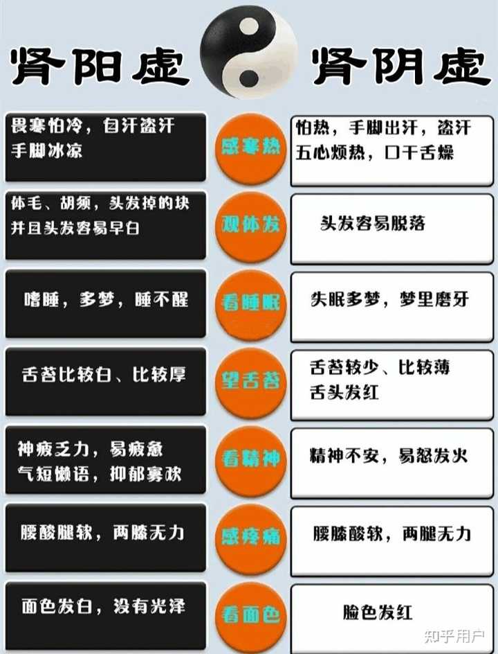 肾阴虚与肾阳虚的区别与共同点,分别会造成什么后果? - 知乎
