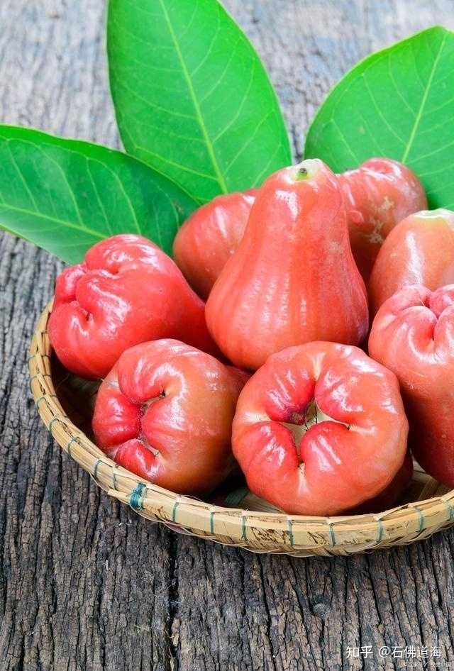 莲雾是一种什么水果? - 知乎