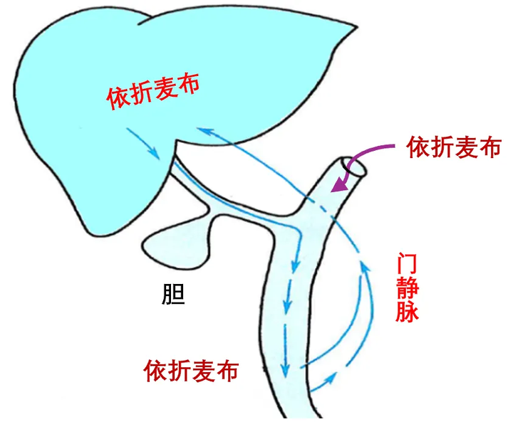 依折麦布片功效与副作用？ - 知乎
