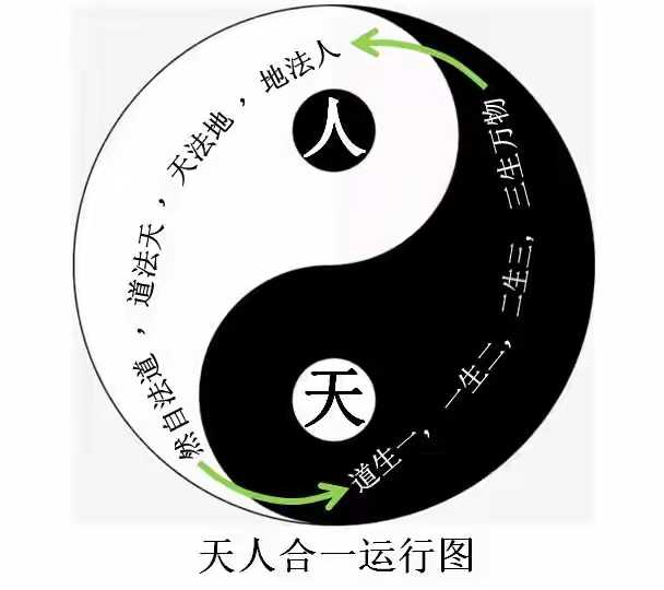 道法自然,天人合一到底该怎么理解? - 知乎