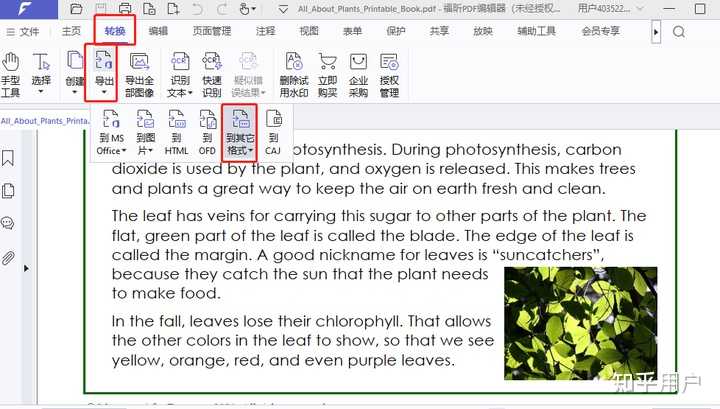 PDF格式的电子发票如何转换成XML格式的? - 知乎