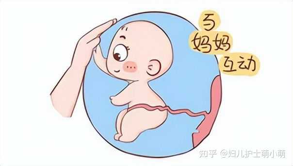 胎心的位置就是胎儿当前所在位置吗? - 知乎
