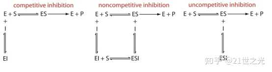 酶的竞争性抑制剂和非竞争性抑制剂有什么区别? - 知乎
