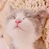 型男生活