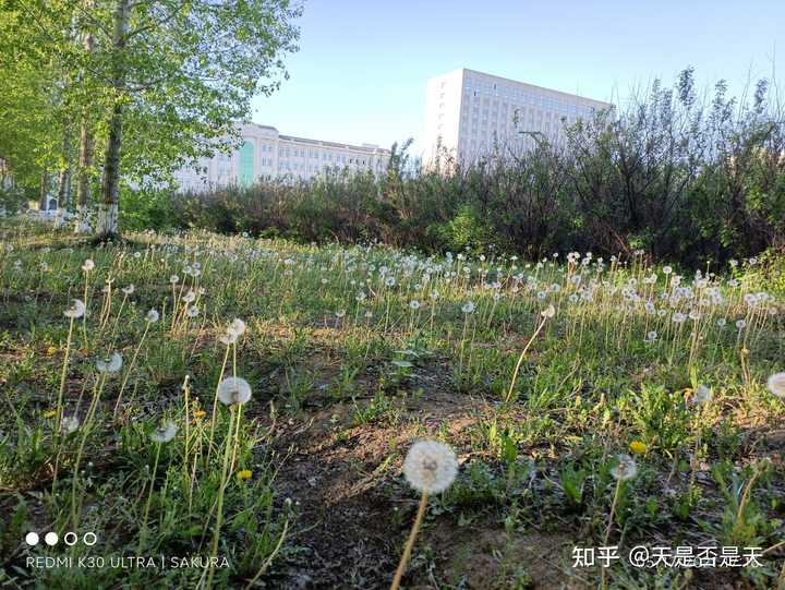 哈尔滨石油学院_哈尔滨石油学院是几本_哈尔滨石油学院录取分数线