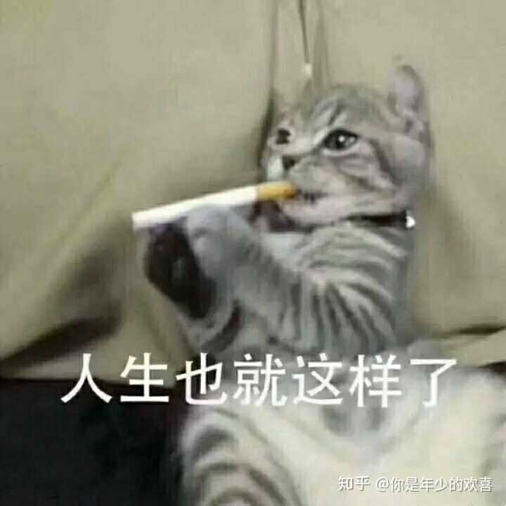 有没有特别逗的傻叼表情包? - 知乎