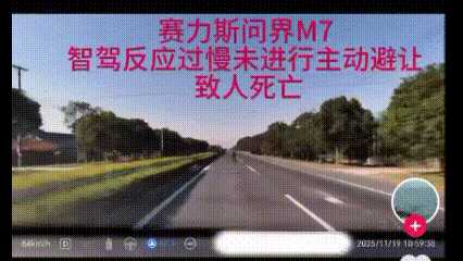 动图封面