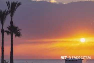 抖音的逗拍功能在哪里_抖音上怎么找逗拍_逗拍在抖音哪里找