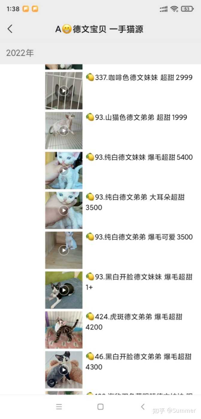 八个月的德文卷毛猫每天吃多少克食物合适？ - 知乎