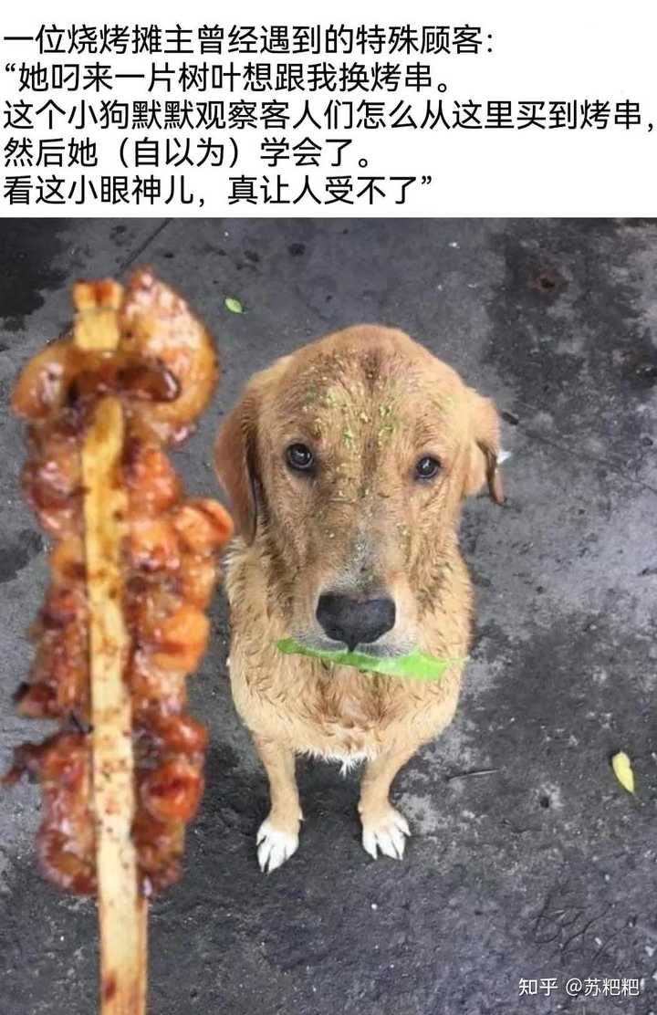 有哪些让人笑得停不下来的冷笑话? - 知乎