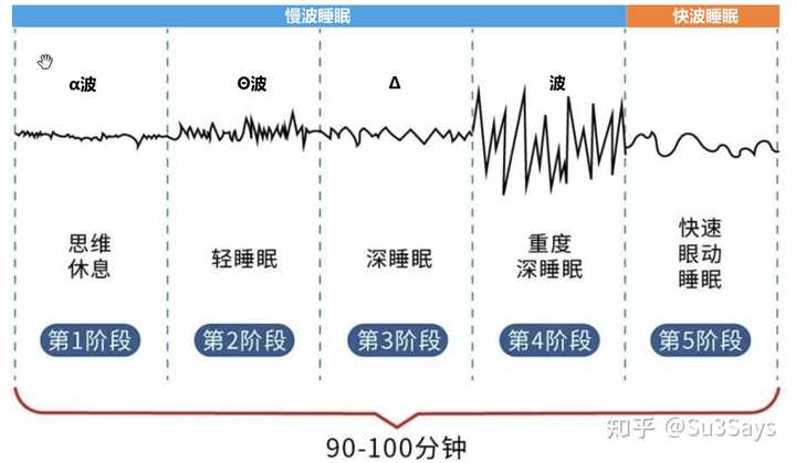 人为什么会做梦?梦的实质是什么? - 知乎