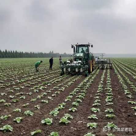 小麦收获后，农民直接在麦茬中播种玉米大豆等作物，是懒省事吗？ - 知乎