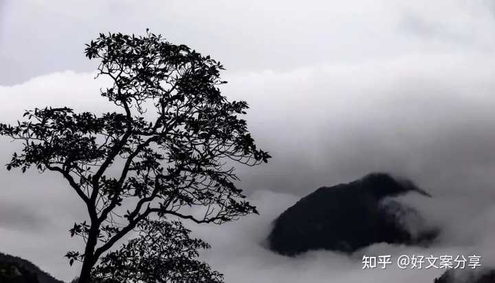 抖音伤感情话短句