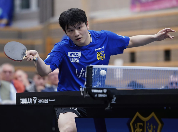 25-26赛季德甲乒乓球联赛，樊振东 3:0 孟庆宇，如何评价本场比赛？