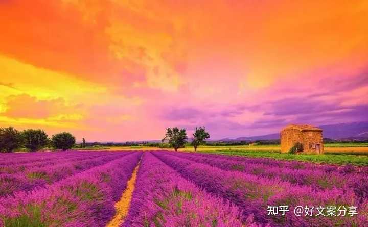 抖音最火的伤感情感短句
