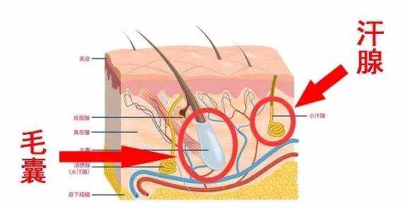脱毛仪属于医疗器械吗