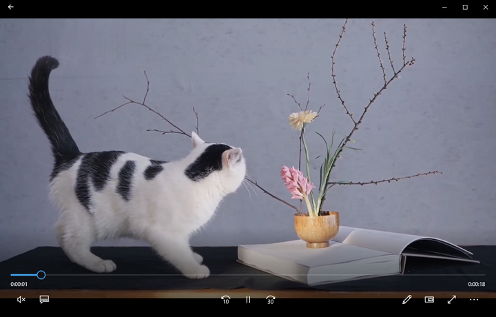 抖音短视频删除了还能恢复吗_抖音短视频删掉会有什么影响呢_抖音短视频可以删除吗