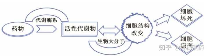 有办法靠经验推断某结构的有机化合物的毒性么? - 知乎
