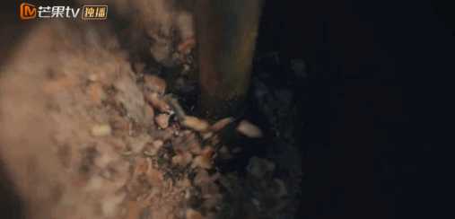 如何看待《尚食》这部剧？(尚食啥意思)