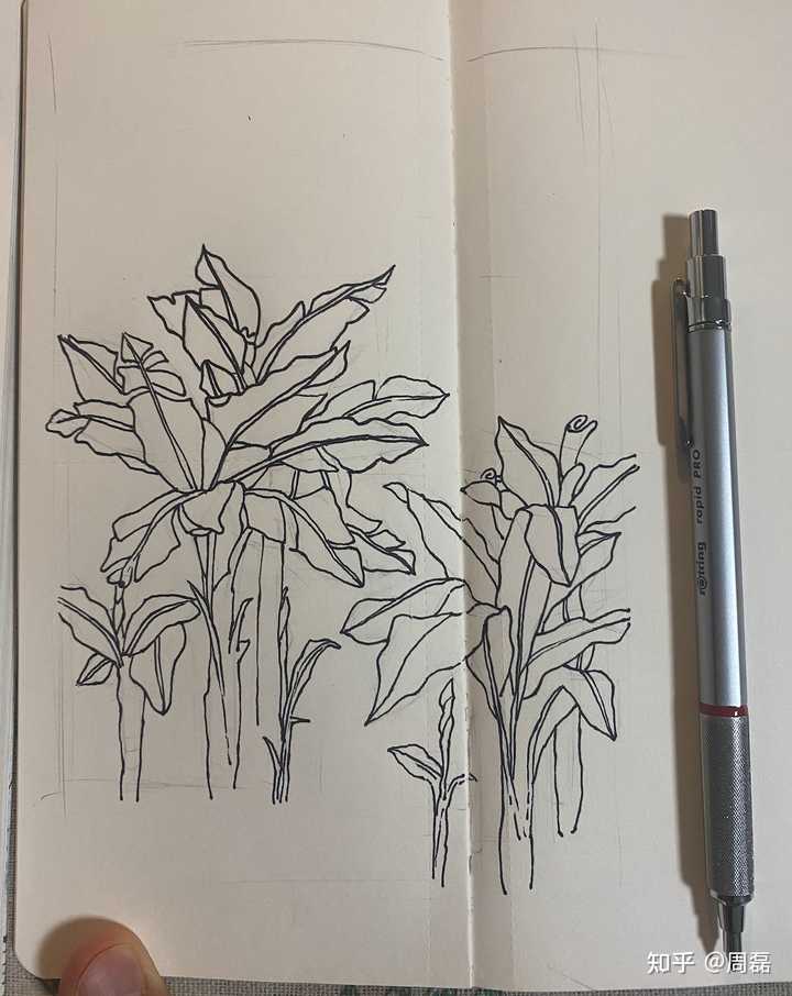 有哪些适合新手临摹的画？ - 知乎