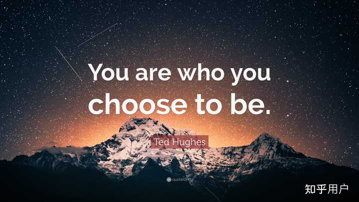 you are what you are 和 you are who you are 的区别在哪里? - 知乎