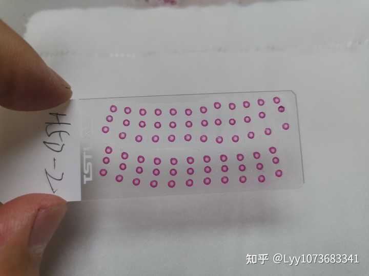 石蜡切片最后用中性树胶封片时，如何操作才能不产生气泡和树胶不溢出来? - 知乎