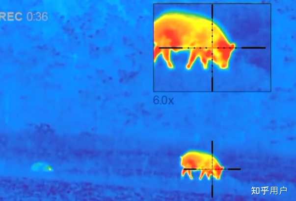红外摄像头和红外热成像的原理有什么区别？ - 知乎