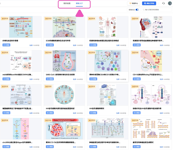 请问各位什么软件可以做出这种SCI论文机制图图片? - 知乎