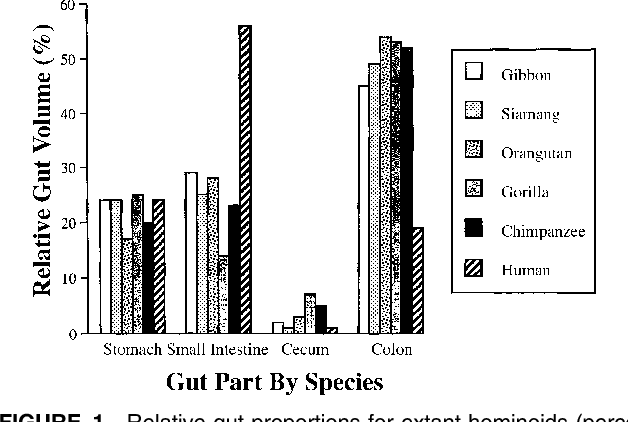 人本身究竟是肉食动物还是素食动物?或者说从生理结构来看,适合肉食还是素食? - 知乎