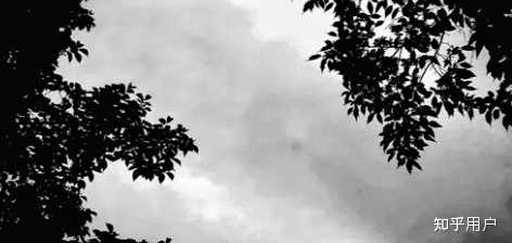 什么温度湿度条件会形成大雾? - 知乎