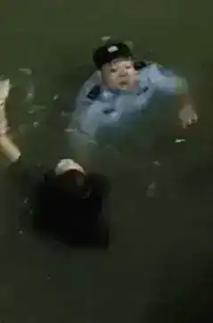 动图封面