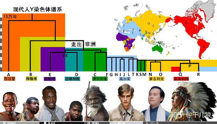 究竟有没有生理上的人种差异? - 知乎