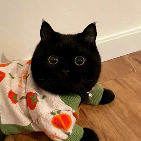 你有什么提升自己的好习惯?