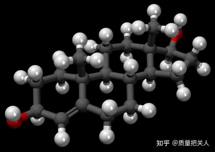精胺和亚精胺是什么？和人体胖瘦有关系吗？ - 知乎
