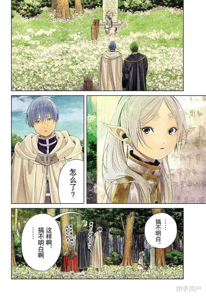《葬送的芙莉莲》勇者和精灵的关系是什么? - 知乎
