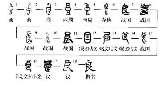 「子」字的甲骨文字形是什么?能详细说一下「子」字的演变过程吗? - 知乎