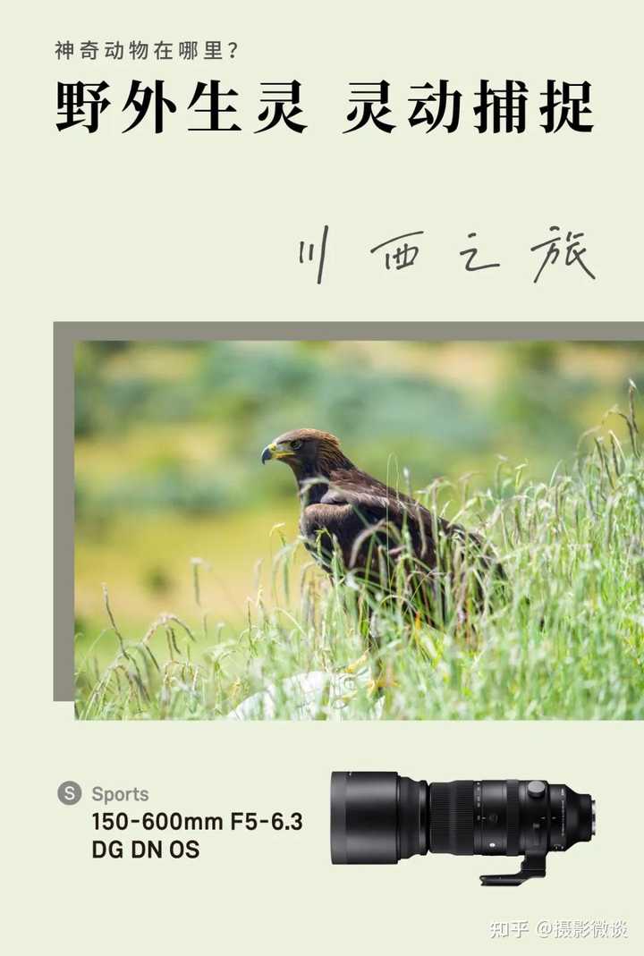  150 600mm dg c s 