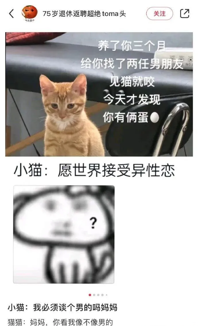 你看过的最有意思的meme、梗图有哪些? - 知乎
