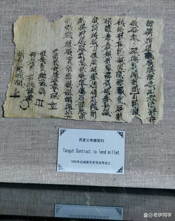 西夏文字是如何创制的,经历了哪些演变? - 知乎