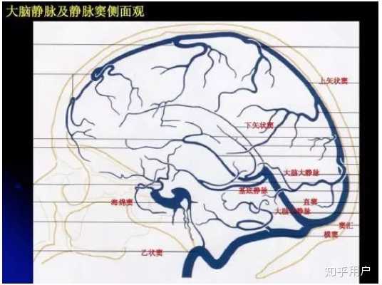 微博上现在在说的面部危险三角区有说的那么危险么? - 知乎